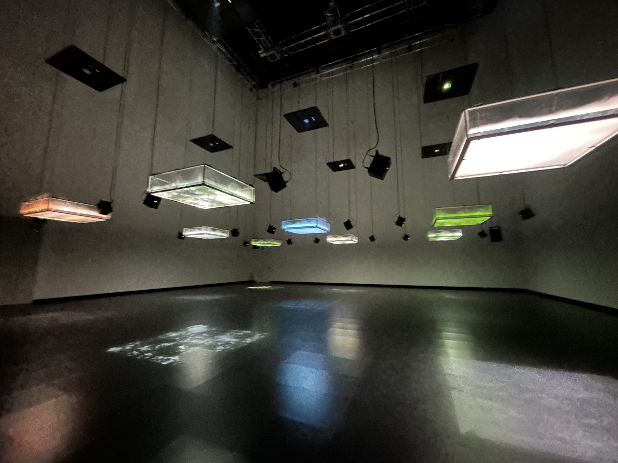 2つの「万博」を挟んで、音楽の始原に触れる坂本龍一の探求